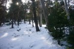 Foto11.JPG