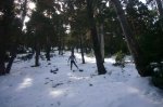 Foto13.JPG