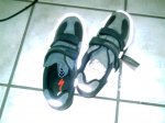 PICT0001 (Medium).JPG
