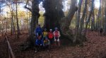 tiemblo01.jpg