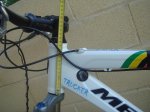 DSC08525.jpg