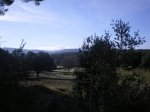 IMGP1208.jpg