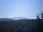 IMGP1209.jpg
