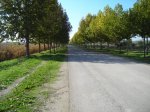 DSCN1274.jpg