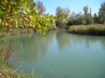 DSCN1276.jpg