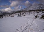 SELVA IRATI 2008 097.jpg
