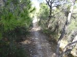 Imagen 031.jpg