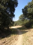 BOADILLA-CARLOS 093.jpg