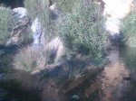 Imagen018.jpg
