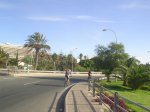 2008-11-08 10-28-54-5358_redimensionar.JPG