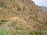 2008-11-08 14-55-32-5378_redimensionar.JPG