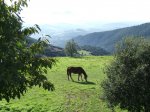 DSCF8628.JPG