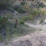 DSCN0808.JPG