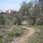 DSCN0828.JPG