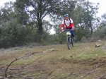 mini-IMG_3789.JPG