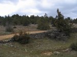 mini-IMG_3814.JPG