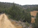 mini-IMG_3821.JPG