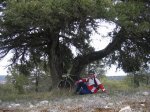 mini-IMG_3826.JPG