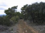 mini-IMG_3840.JPG
