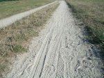 09_La huellas del camino.JPG