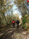 foromtb_image_09nov_01_num.jpg