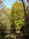 foromtb_image_09nov_02_num.jpg