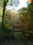 foromtb_image_09nov_03_num.jpg