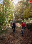 foromtb_image_09nov_04_num.jpg