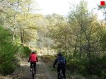 foromtb_image_09nov_05_num.jpg