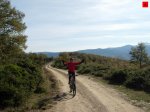 foromtb_image_09nov_06_num.jpg