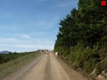 foromtb_image_09nov_08_num.jpg