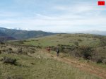 foromtb_image_09nov_11_num.jpg