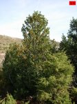 foromtb_image_09nov_15_num.jpg
