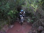gato,arnau,gilet 8.11.08 035 [1024x768].jpg