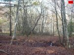 foromtb_image_09nov_16_num.jpg