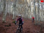 foromtb_image_09nov_17_num.jpg