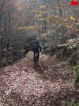 foromtb_image_09nov_18_num.jpg