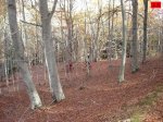 foromtb_image_09nov_19_num.jpg