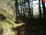 foromtb_image_09nov_23_num.jpg