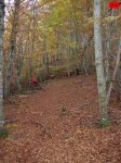foromtb_image_09nov_26_num.jpg