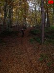 foromtb_image_09nov_27_num.jpg
