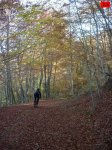foromtb_image_09nov_28_num.jpg
