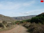 foromtb_image_09nov_29_num.jpg