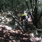 DSCF8650.JPG