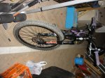 DSC06292.jpg
