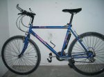 bici 001.jpg