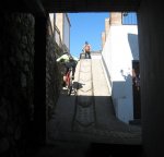 IMG_1254.JPG
