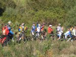 IMG_3230.jpg