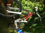 Bici 2008 005reducida.JPG