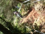 DSCN5905.jpg